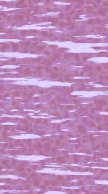 Benzersiz video giriş tasarımı projeleri için detaylı yüzey kalıbı film animasyon stili grafik girişi