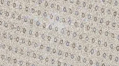 Profesyonel video projeleri sanat tarzı için organik hareketli arkaplan tasarımı