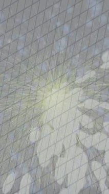 Dijital doku yüzey tasarım biçimi ile modern video animasyonu için gelişmiş hareket grafikleri