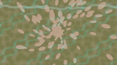 Benzersiz video giriş tasarımı projeleri için detaylı yüzey kalıbı film animasyon stili grafik girişi