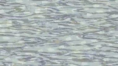 Benzersiz dijital hareket grafiklerine sahip yaratıcı sinematik projeler için yumuşak animasyon yüzeyi