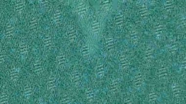 Benzersiz dijital hareket grafiklerine sahip yaratıcı sinematik projeler için yumuşak animasyon yüzeyi