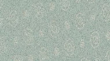 Benzersiz dijital hareket grafiklerine sahip yaratıcı sinematik projeler için yumuşak animasyon yüzeyi