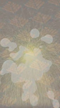 Dijital doku yüzey tasarım biçimi ile modern video animasyonu için gelişmiş hareket grafikleri