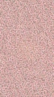 Benzersiz video giriş tasarımı projeleri için detaylı yüzey kalıbı film animasyon stili grafik girişi