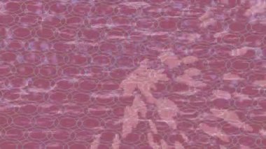 Lüks hareket tasarımı üst düzey video projeleri ve dijital sanat için zarif, pürüzsüz bir dokusu var.