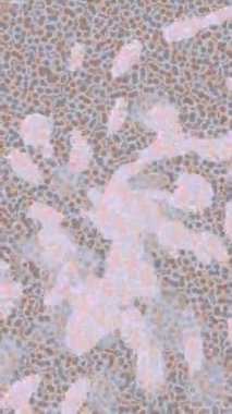 Yaratıcı video düzenleme film tasarımı için benzersiz hareket grafikleri biçimi giriş hareketi video pro