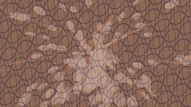 Yaratıcı video düzenleme film arkaplan tasarımı için minimalist organik hareket grafikleri