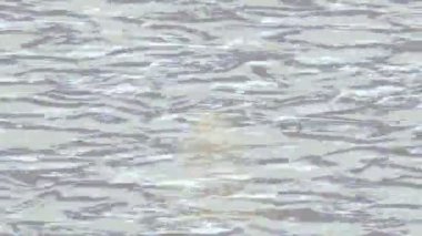 Benzersiz hareket dokusu tasarım sanatı ile profesyonel video düzenleme için modern soyut grafikler