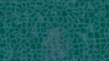 Yaratıcı video düzenleme film arkaplan tasarımı için minimalist organik hareket grafikleri