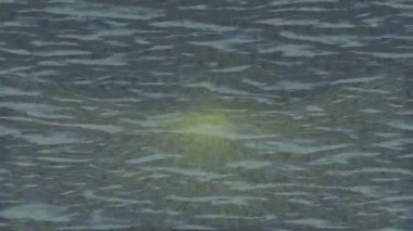 Benzersiz dijital animasyon tarzı grafikleri olan yaratıcı ortam tasarımı için yenilikçi hareket dokusu