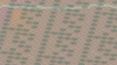 Benzersiz dijital hareket grafiklerine sahip yaratıcı sinematik projeler için yumuşak animasyon yüzeyi