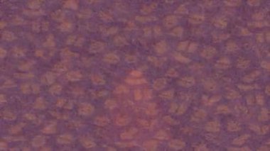 Benzersiz hareket dokusu tasarım sanatı ile profesyonel video düzenleme için modern soyut grafikler