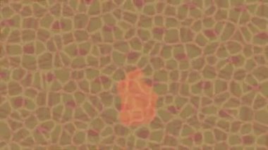 Profesyonel video projeleri sanat tarzı için organik hareketli arkaplan tasarımı