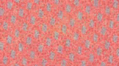 Lüks hareket projeleri için soyut tasarım stili animasyonu olan üst düzey dijital doku