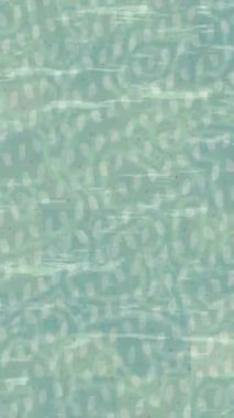 Yaratıcı video düzenleme film arkaplan tasarımı için minimalist organik hareket grafikleri