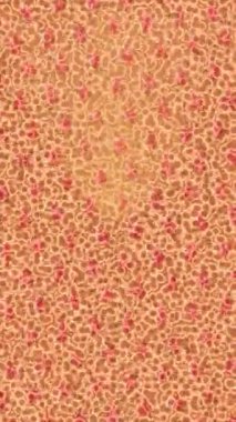 Soyut hareket desenli fütüristik video üretimi için dinamik dijital arkaplan