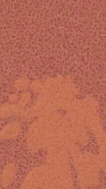 Benzersiz video giriş tasarımı projeleri için detaylı yüzey kalıbı film animasyon stili grafik girişi