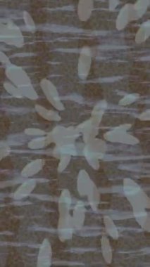 Lüks hareket projeleri için soyut tasarım stili animasyonu olan üst düzey dijital doku