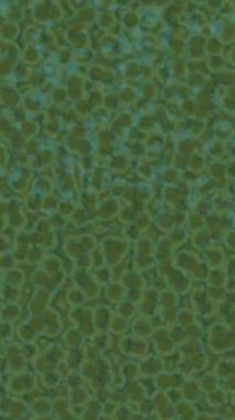 Yaratıcı video düzenleme film arkaplan tasarımı için minimalist organik hareket grafikleri