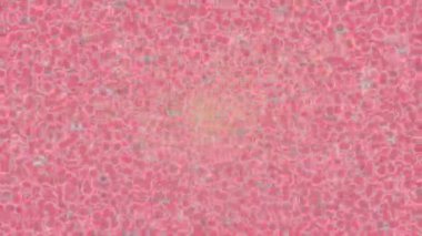 Soyut hareket desenli fütüristik video üretimi için dinamik dijital arkaplan