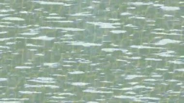 Benzersiz hareket grafikleri tasarım sanatına sahip yaratıcı film üretimi için özet bir arkaplan