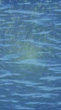 Yaratıcı video düzenleme film tasarımı için benzersiz hareket grafikleri biçimi giriş hareketi video pro