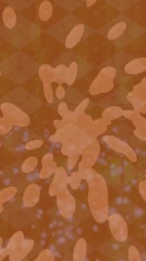 Yaratıcı video düzenleme film tasarımı için benzersiz hareket grafikleri biçimi giriş hareketi video pro