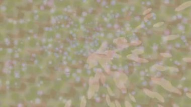 Lüks hareket projeleri için soyut tasarım stili animasyonu olan üst düzey dijital doku