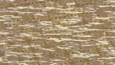 Benzersiz hareket grafikleri tasarım sanatına sahip yaratıcı film üretimi için özet bir arkaplan