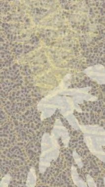 Benzersiz dijital animasyon tarzı grafikleri olan yaratıcı ortam tasarımı için yenilikçi hareket dokusu