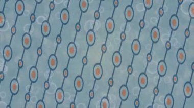 Benzersiz dijital hareket grafiklerine sahip yaratıcı sinematik projeler için yumuşak animasyon yüzeyi