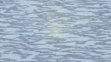 Yaratıcı video düzenleme film tasarımı için benzersiz hareket grafikleri biçimi giriş hareketi video pro