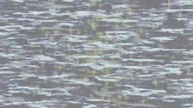 Yaratıcı video düzenleme film tasarımı için benzersiz hareket grafikleri biçimi giriş hareketi video pro