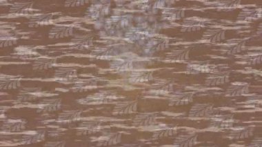 Profesyonel video projeleri sanat tarzı için organik hareketli arkaplan tasarımı