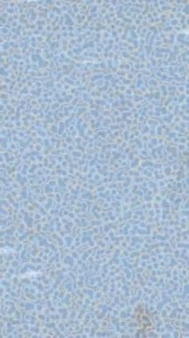 Profesyonel video projeleri sanat tarzı için organik hareketli arkaplan tasarımı