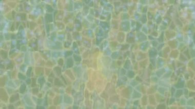 Organik desenli yüzey giriş stili video film sanatı ile soyut arkaplan tasarımı