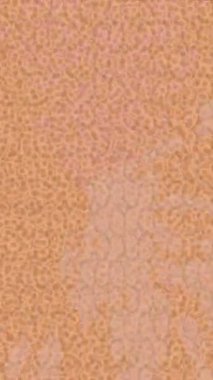 Yaratıcı video düzenleme film arkaplan tasarımı için minimalist organik hareket grafikleri