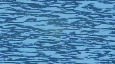 Yaratıcı video düzenleme film tasarımı için benzersiz hareket grafikleri biçimi giriş hareketi video pro