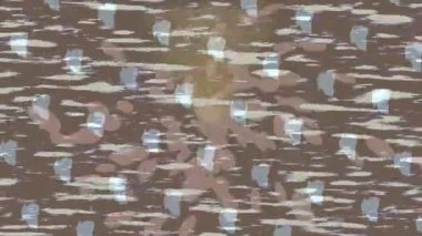 Lüks hareket tasarımı üst düzey video projeleri ve dijital sanat için zarif, pürüzsüz bir dokusu var.