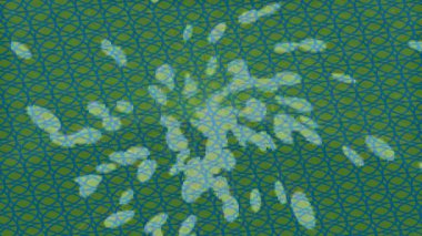 Dijital doku yüzey tasarım biçimi ile modern video animasyonu için gelişmiş hareket grafikleri