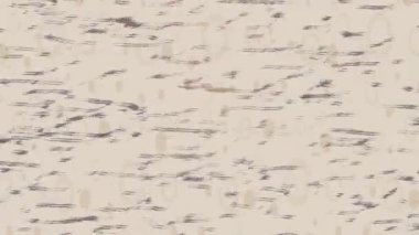 Benzersiz hareket dokusu tasarım sanatı ile profesyonel video düzenleme için modern soyut grafikler