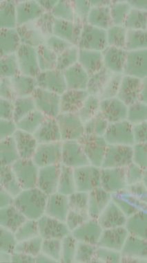 Benzersiz dijital hareket grafiklerine sahip yaratıcı sinematik projeler için yumuşak animasyon yüzeyi