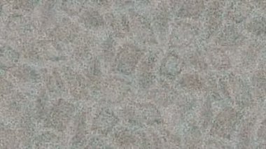 Soyut hareket desenli fütüristik video üretimi için dinamik dijital arkaplan