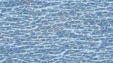 Soyut hareket desenli fütüristik video üretimi için dinamik dijital arkaplan