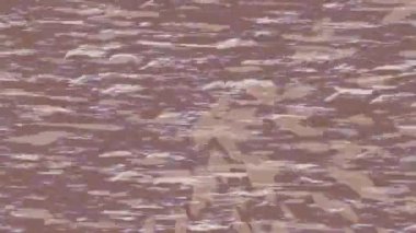 Yaratıcı video düzenleme film tasarımı için benzersiz hareket grafikleri biçimi giriş hareketi video pro