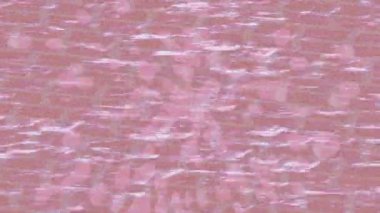 Benzersiz dijital animasyon tarzı grafikleri olan yaratıcı ortam tasarımı için yenilikçi hareket dokusu