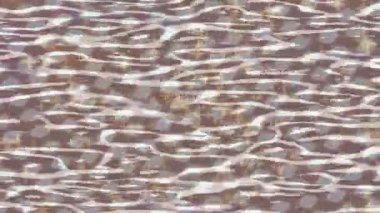 Benzersiz dijital animasyon tarzı grafikleri olan yaratıcı ortam tasarımı için yenilikçi hareket dokusu