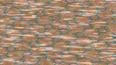 Dijital doku yüzey tasarım biçimi ile modern video animasyonu için gelişmiş hareket grafikleri