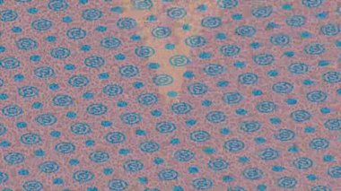 Lüks hareket projeleri için soyut tasarım stili animasyonu olan üst düzey dijital doku